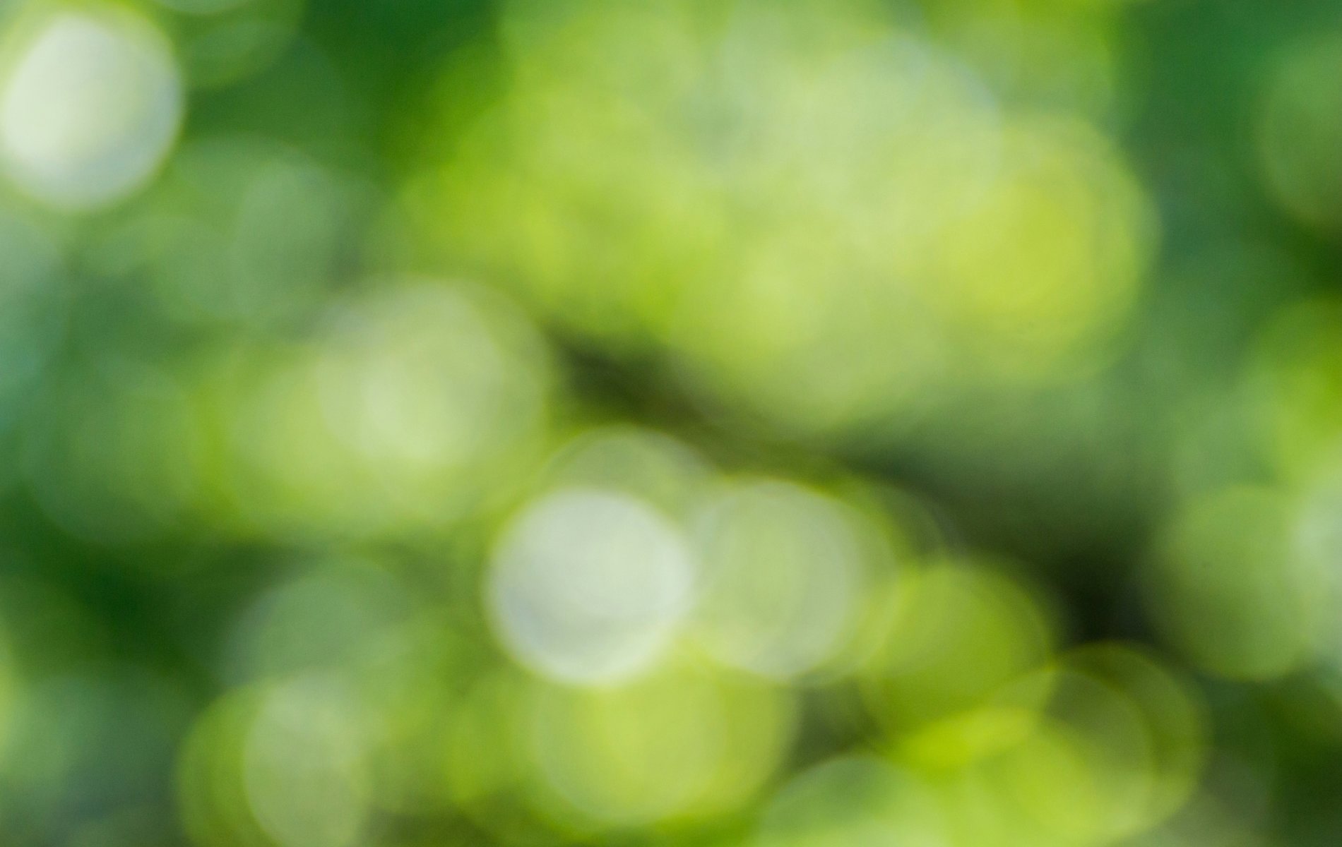 Signature Dermaplane Facial – $165, Georgia Wellness Solutions Med Spa, Dr. John Vu, VudoMedicine